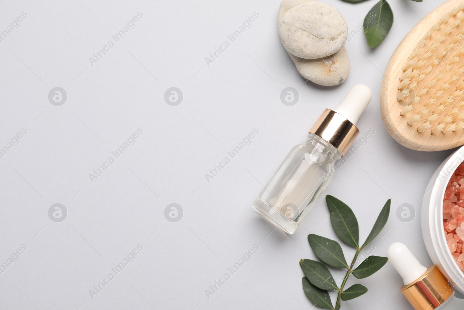 Photo of Different cosmetic products and leaves on light grey background, flat lay. Space for text