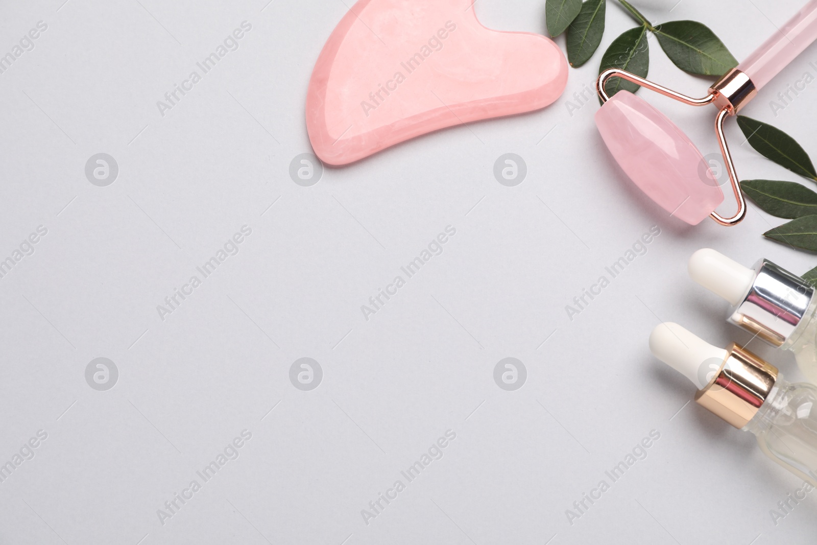 Photo of Different cosmetic products and leaves on light grey background, flat lay. Space for text