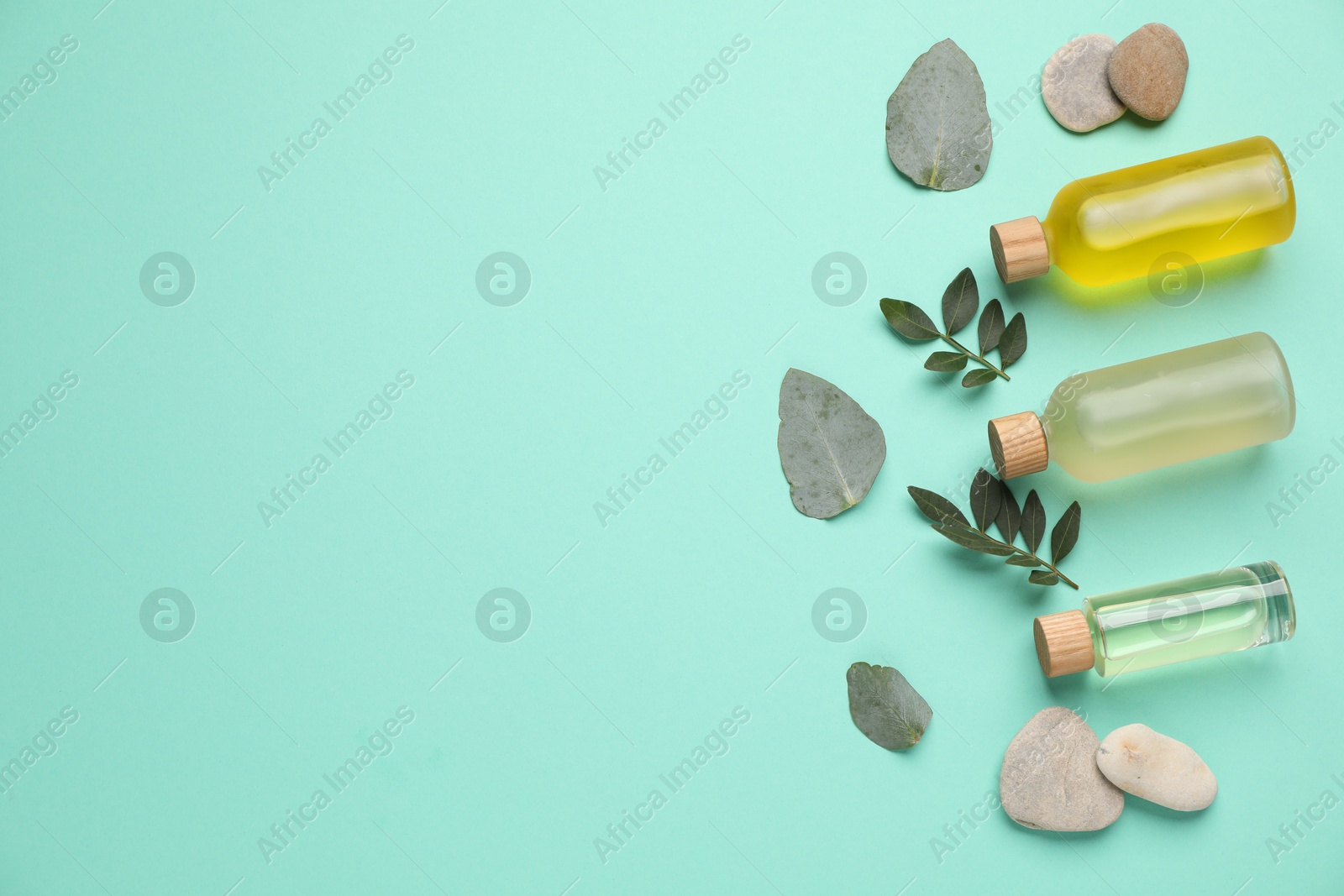 Photo of Cosmetic products and green leaves on turquoise background, flat lay. Space for text