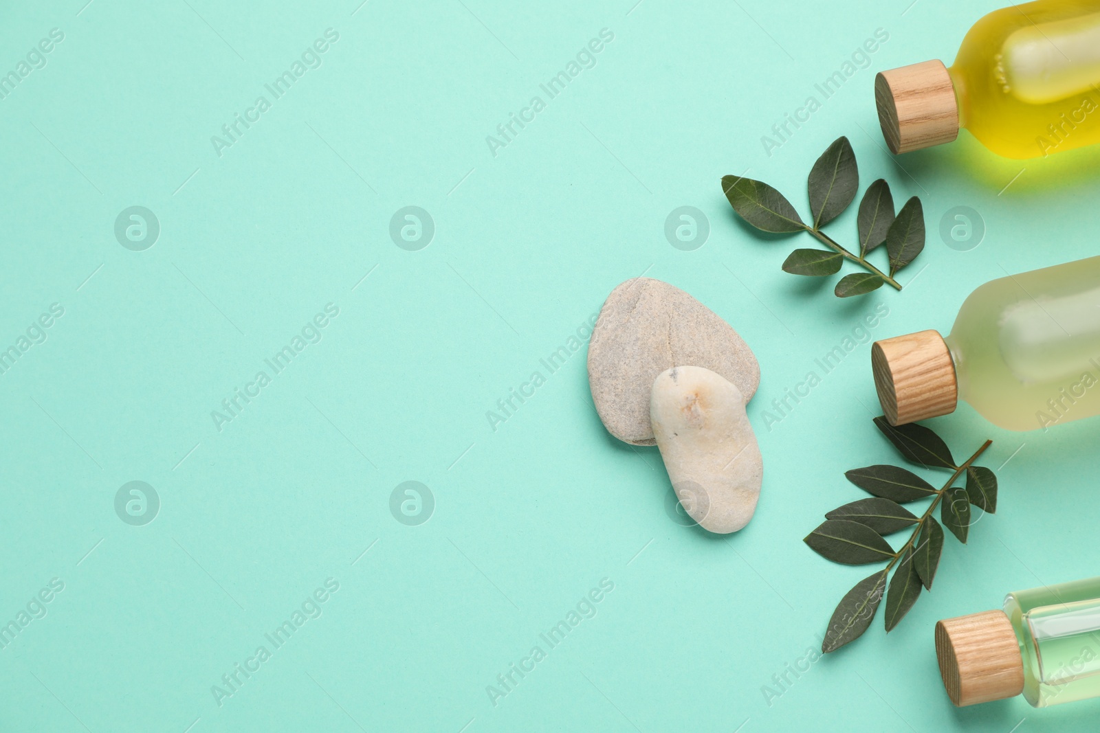 Photo of Cosmetic products and green leaves on turquoise background, flat lay. Space for text