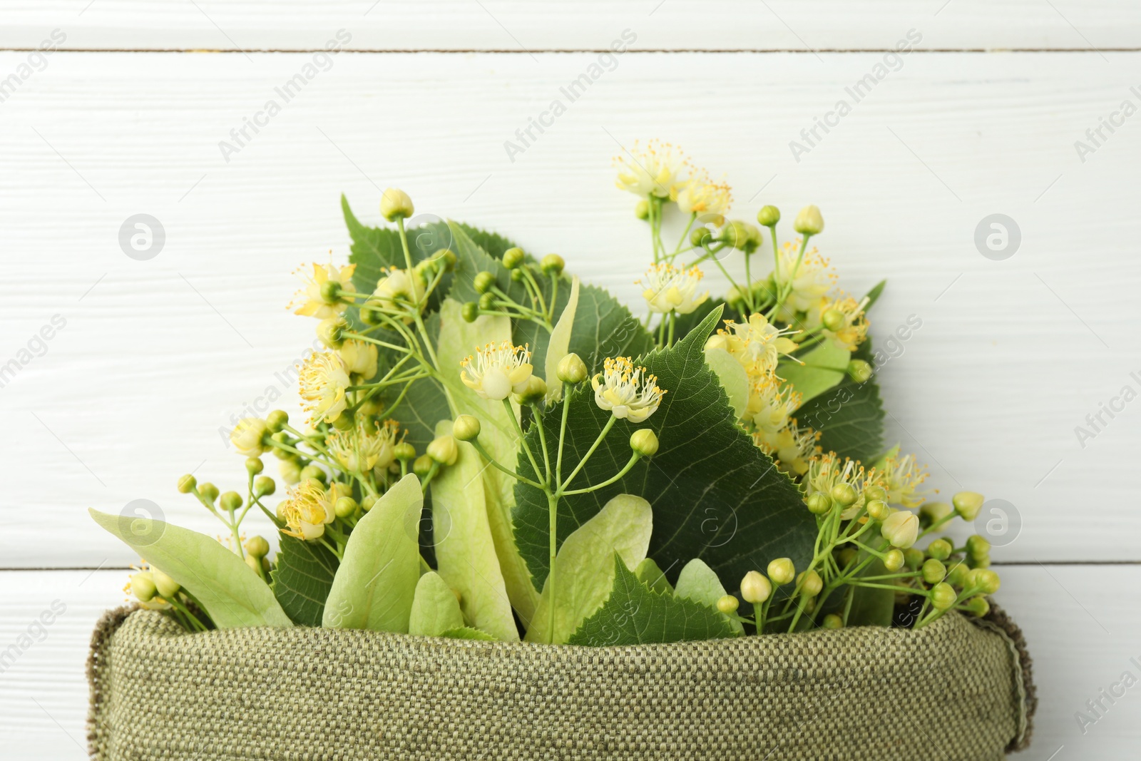 Photo of Fresh linden leaves and flowers in bag on white wooden table, top view