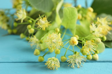 Photo of Fresh linden leaves and flowers on light blue wooden table, closeup