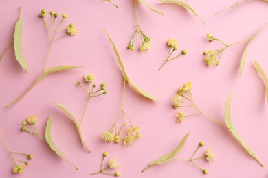 Photo of Beautiful linden blossoms and green leaves on pink background, flat lay