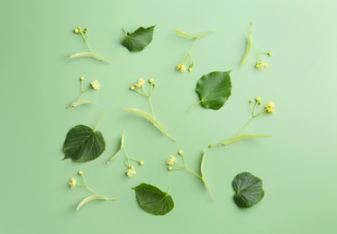 Beautiful linden blossoms and leaves on green background, flat lay