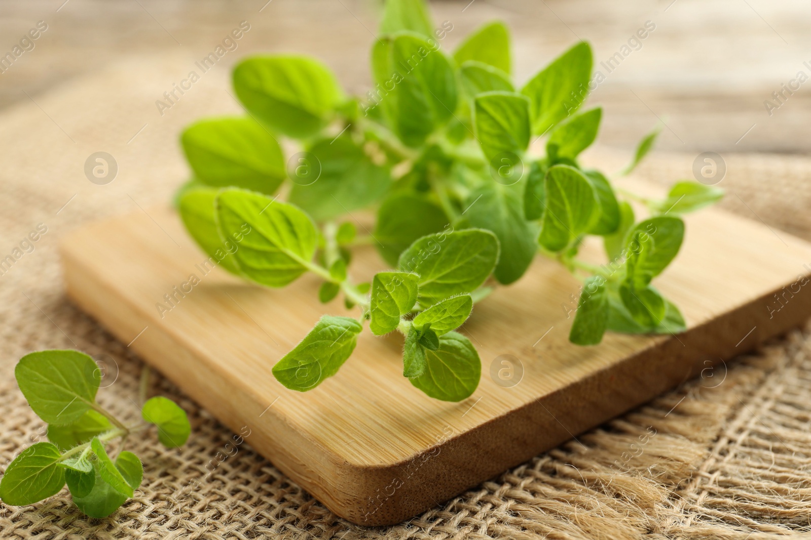 Photo of Sprigs of fresh green oregano on table, closeup