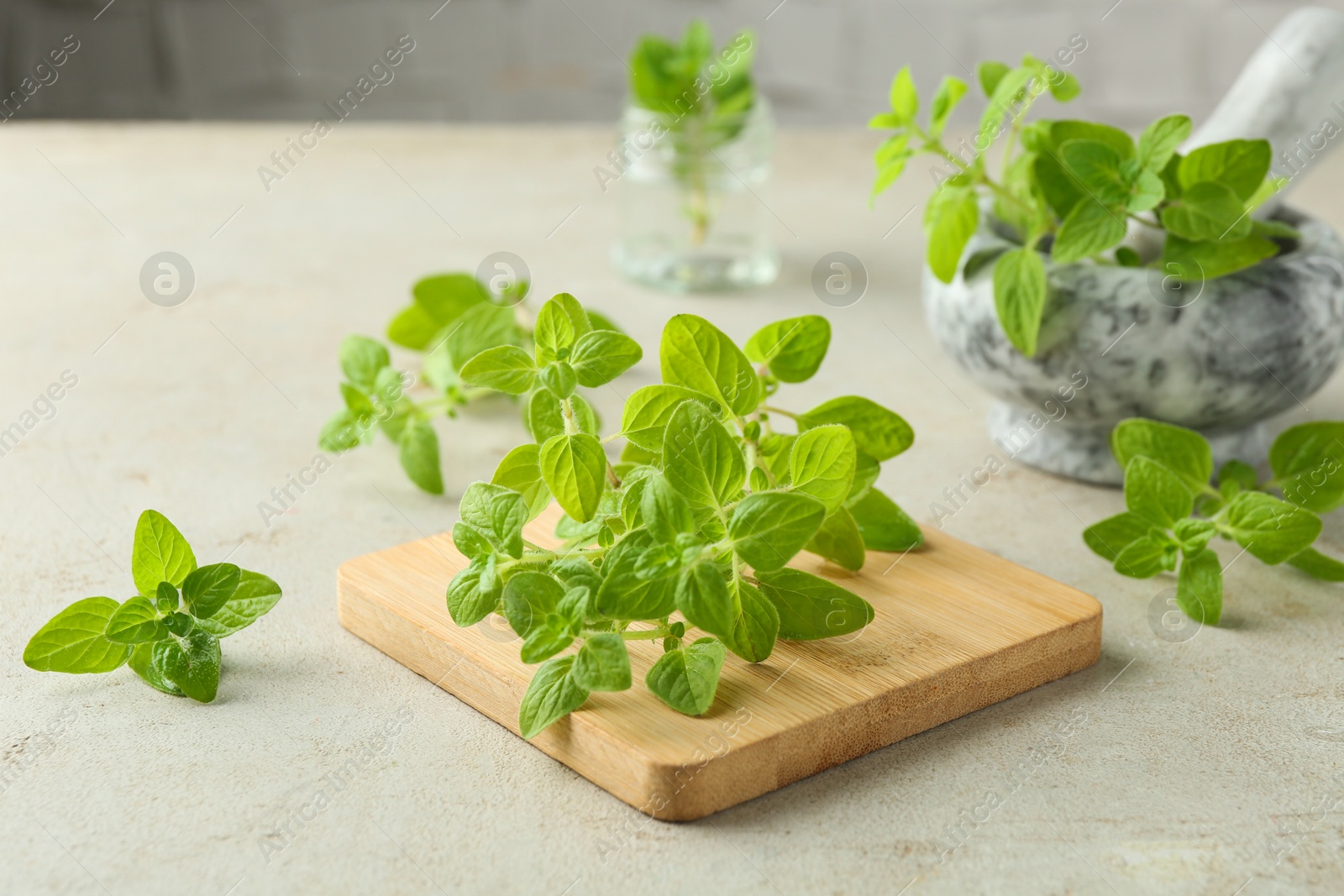 Photo of Sprigs of fresh green oregano on light textured table, closeup