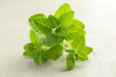 Photo of Sprigs of fresh green oregano on light textured table, closeup