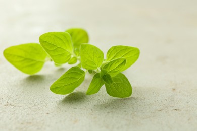 Sprig of fresh green oregano on light textured table, closeup