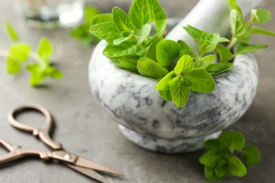 Photo of Mortar with sprigs of fresh green oregano and scissors on gray table, closeup