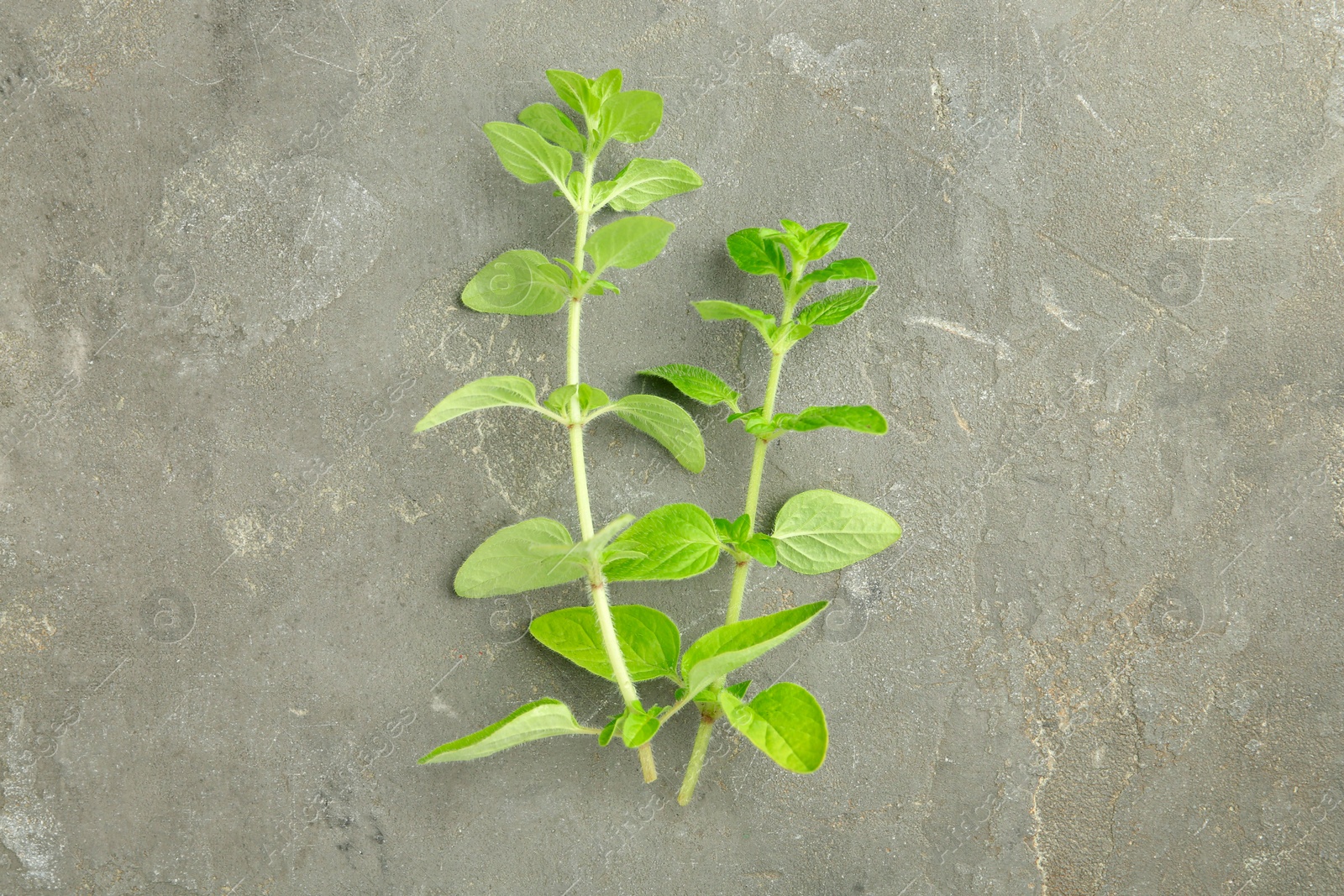 Photo of Sprigs of fresh green oregano on gray textured table, top view