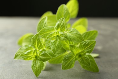 Photo of Sprigs of fresh green oregano on gray table, closeup