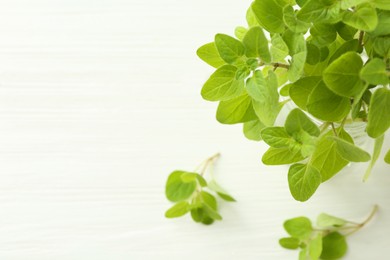 Photo of Sprigs of fresh green oregano in glass jar on white wooden table, closeup. Space for text