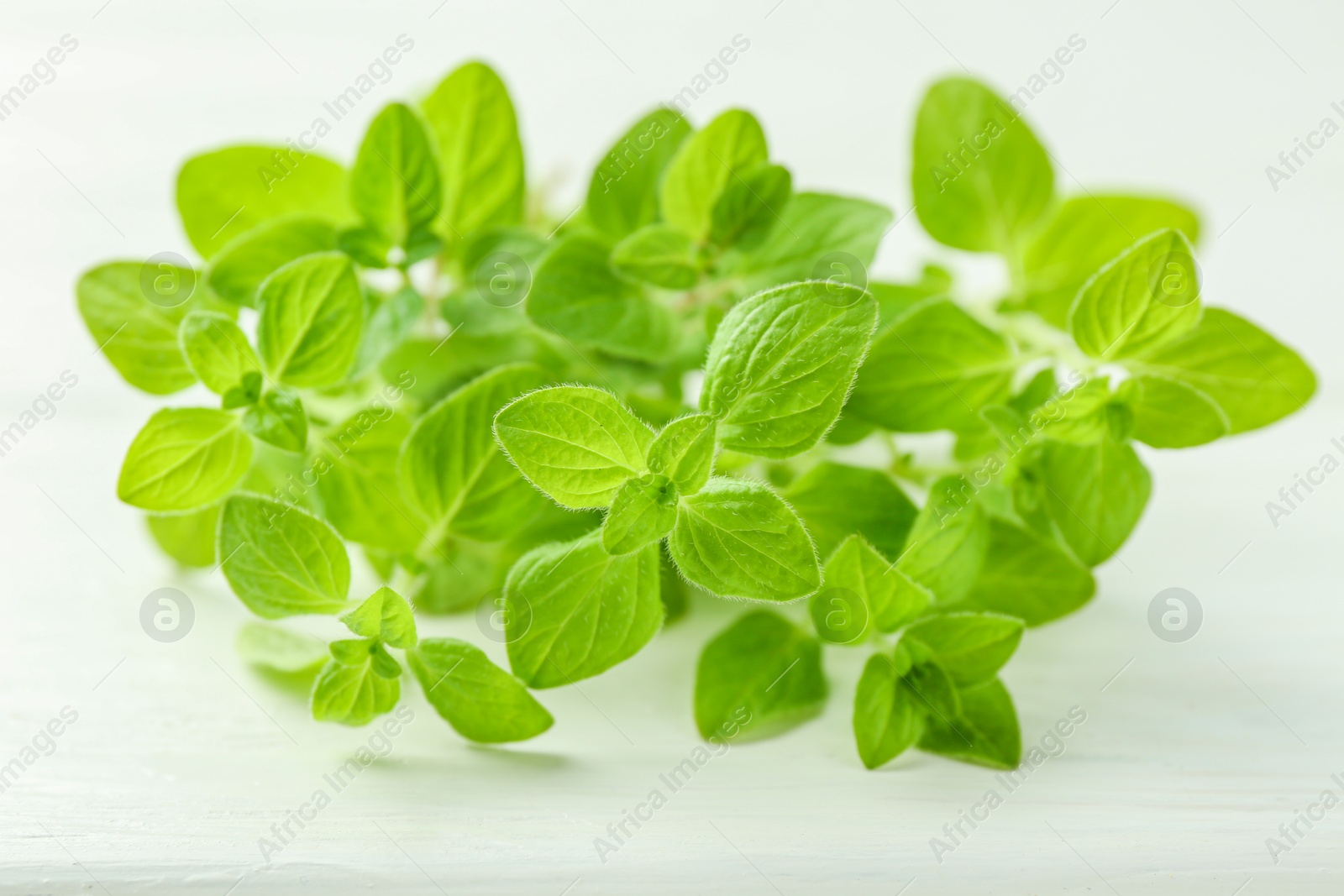 Photo of Sprigs of fresh green oregano on white wooden table, closeup