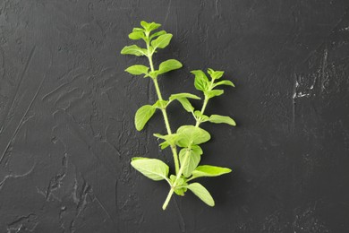 Photo of Sprigs of fresh green oregano on dark gray textured table, top view