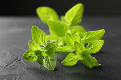 Sprigs of fresh green oregano on dark gray textured table, closeup