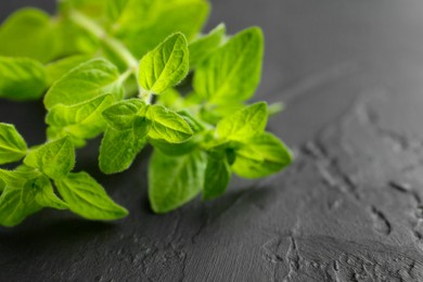 Photo of Sprigs of fresh green oregano on dark gray textured table, closeup