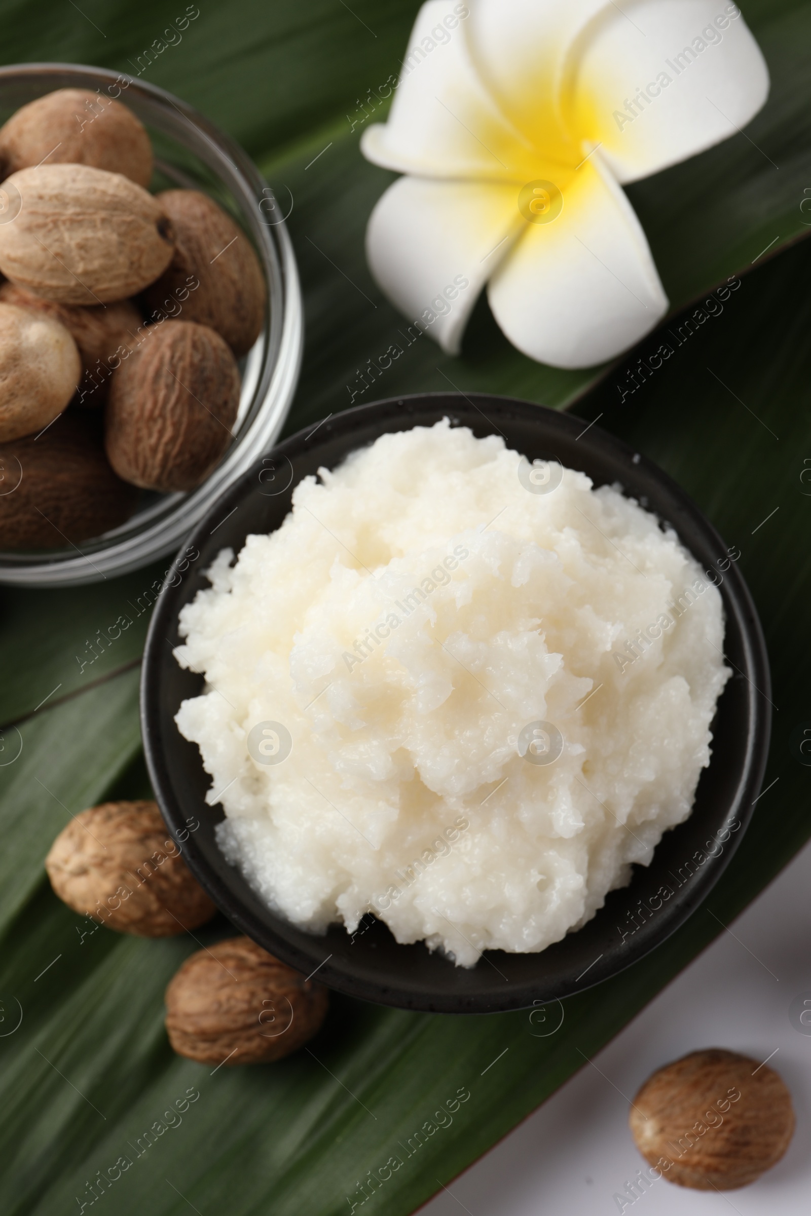 Photo of Natural shea butter in bowl, nuts, plumeria flower and green leaves on white background, top view