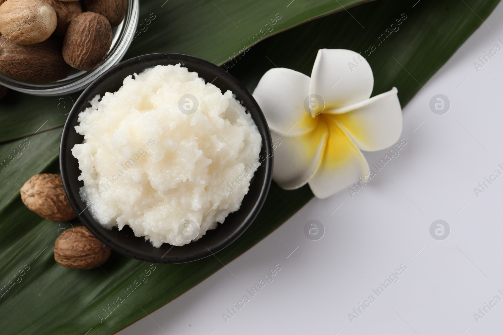 Photo of Natural shea butter in bowl, nuts, plumeria flower and green leaves on white background, top view