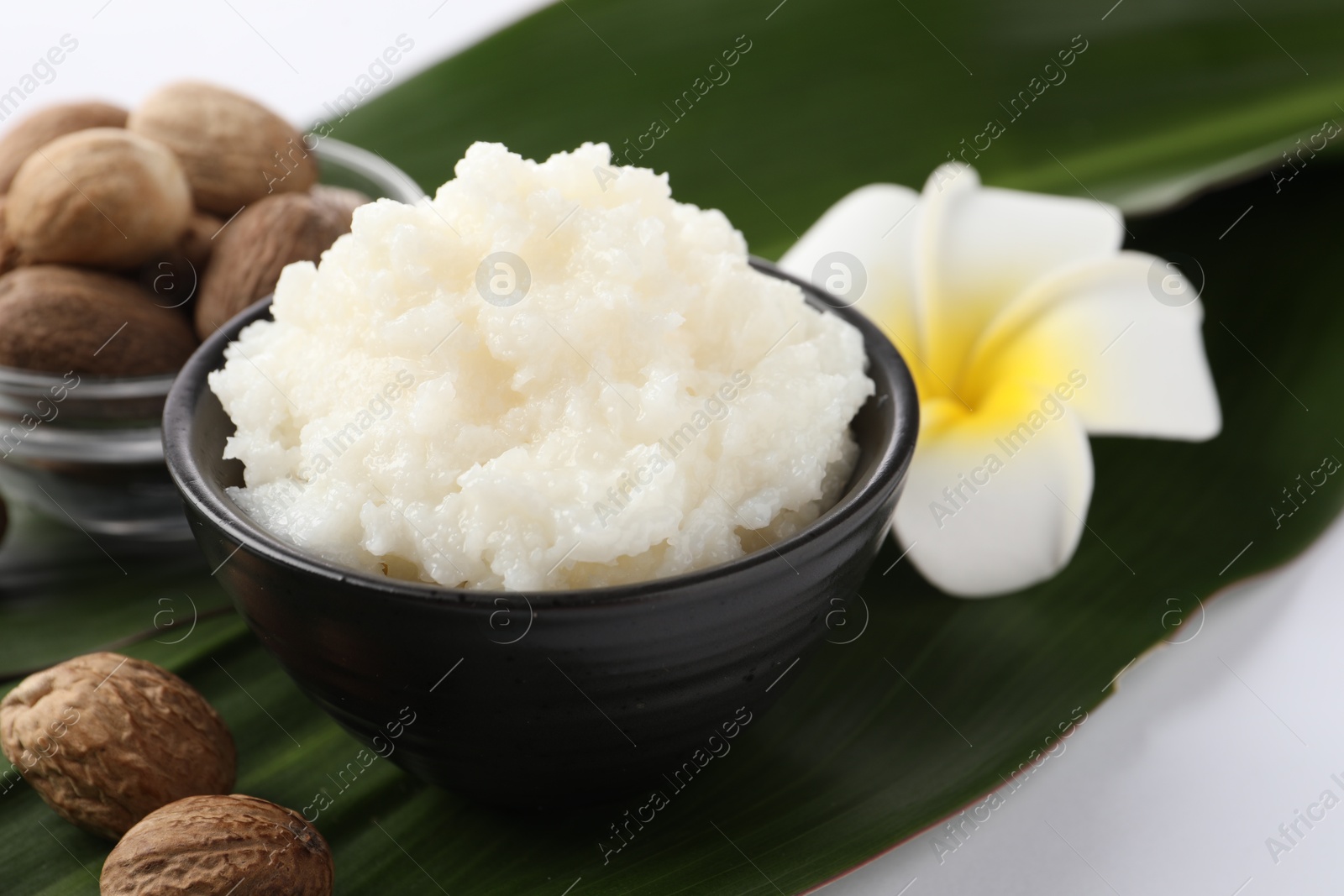 Photo of Natural shea butter in bowl, nuts, plumeria flower and green leaves on white background, closeup