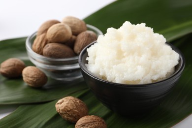 Photo of Natural shea butter in bowl, nuts and green leaves on white background, closeup