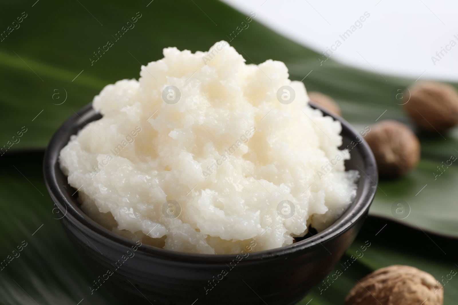 Photo of Natural shea butter in bowl, nuts and green leaves on white background, closeup