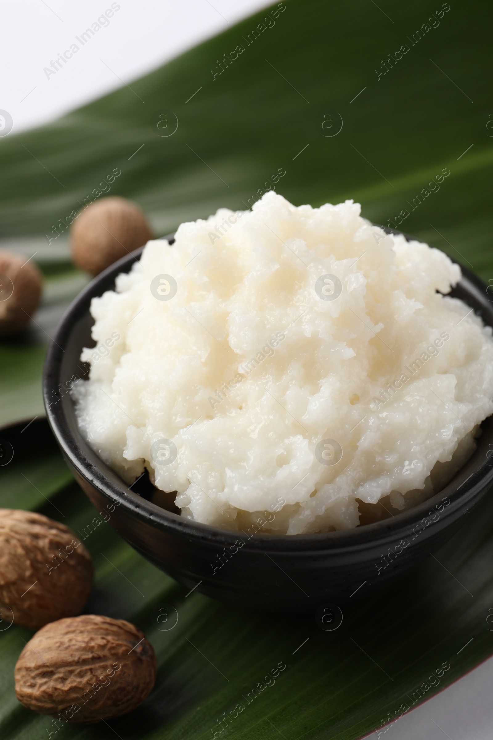 Photo of Natural shea butter in bowl, nuts and green leaves on white background, closeup