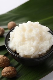 Photo of Natural shea butter in bowl, nuts and green leaves on white background, closeup