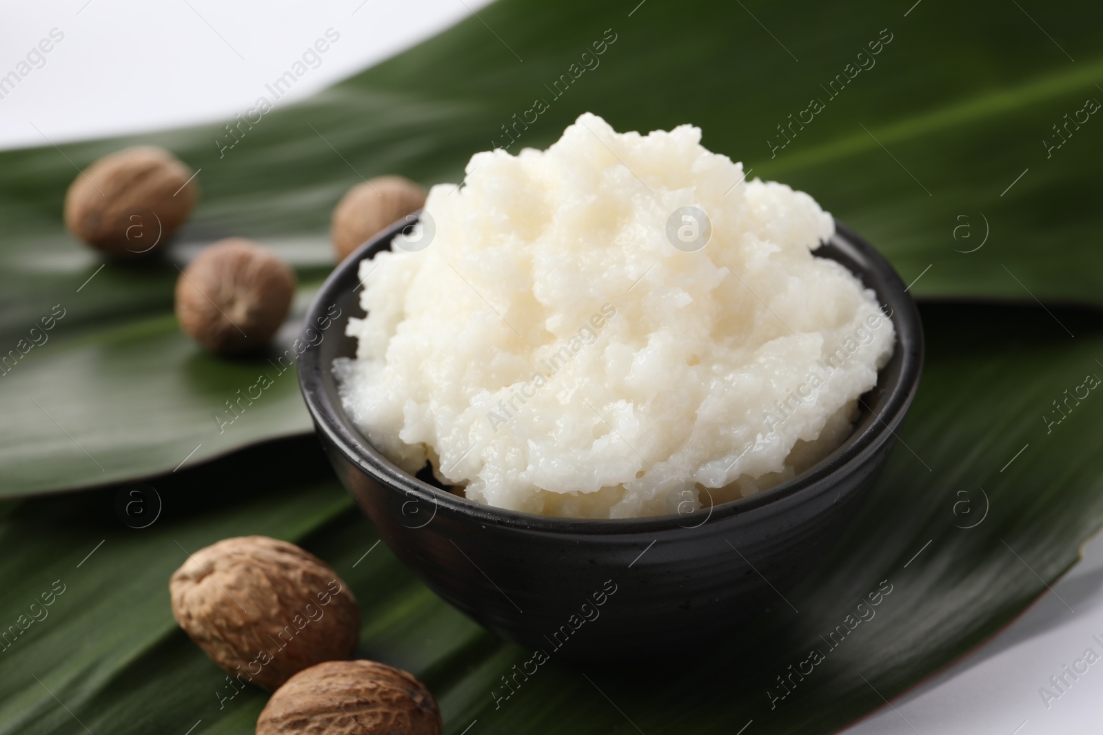 Photo of Natural shea butter in bowl, nuts and green leaves on white background, closeup