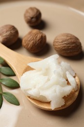 Natural shea butter in spoon, nuts and green twig on plate, closeup