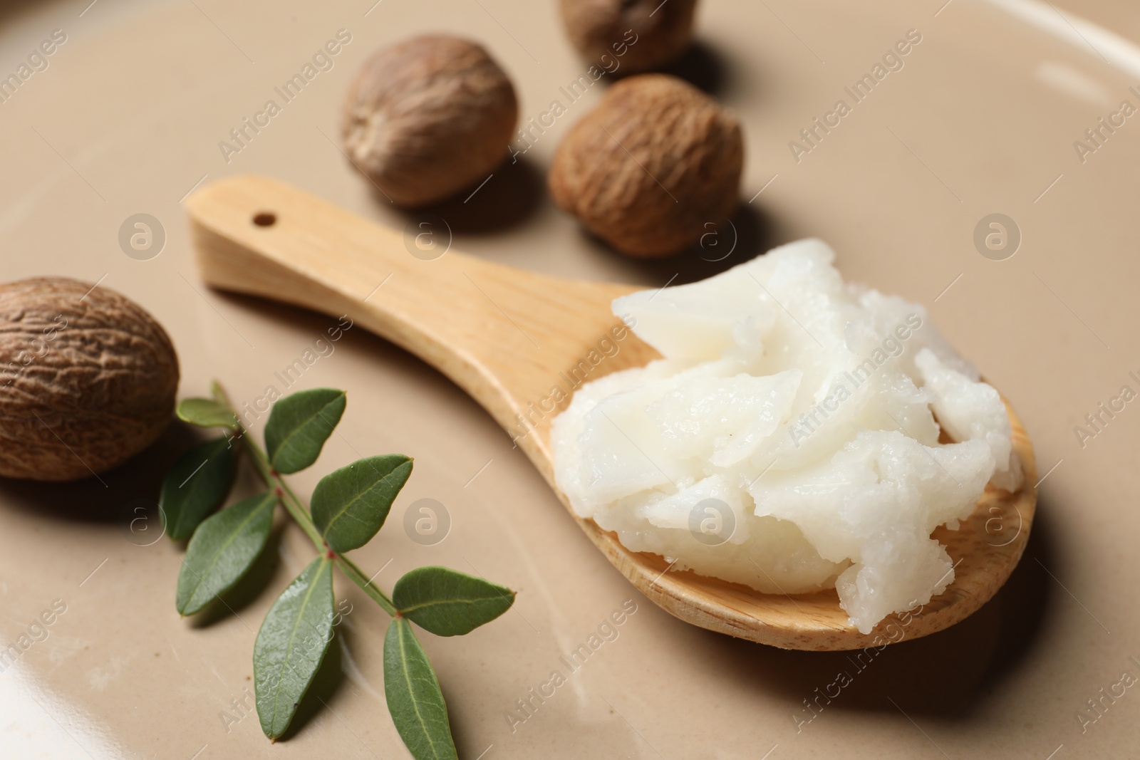 Photo of Natural shea butter in spoon, nuts and green twig on plate, closeup