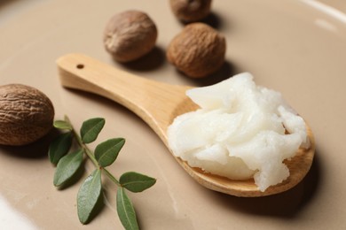 Natural shea butter in spoon, nuts and green twig on plate, closeup