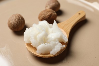 Photo of Natural shea butter in spoon and nuts on plate, closeup