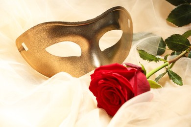 Theatrical performance. Elegant face mask and red rose on beige tulle fabric