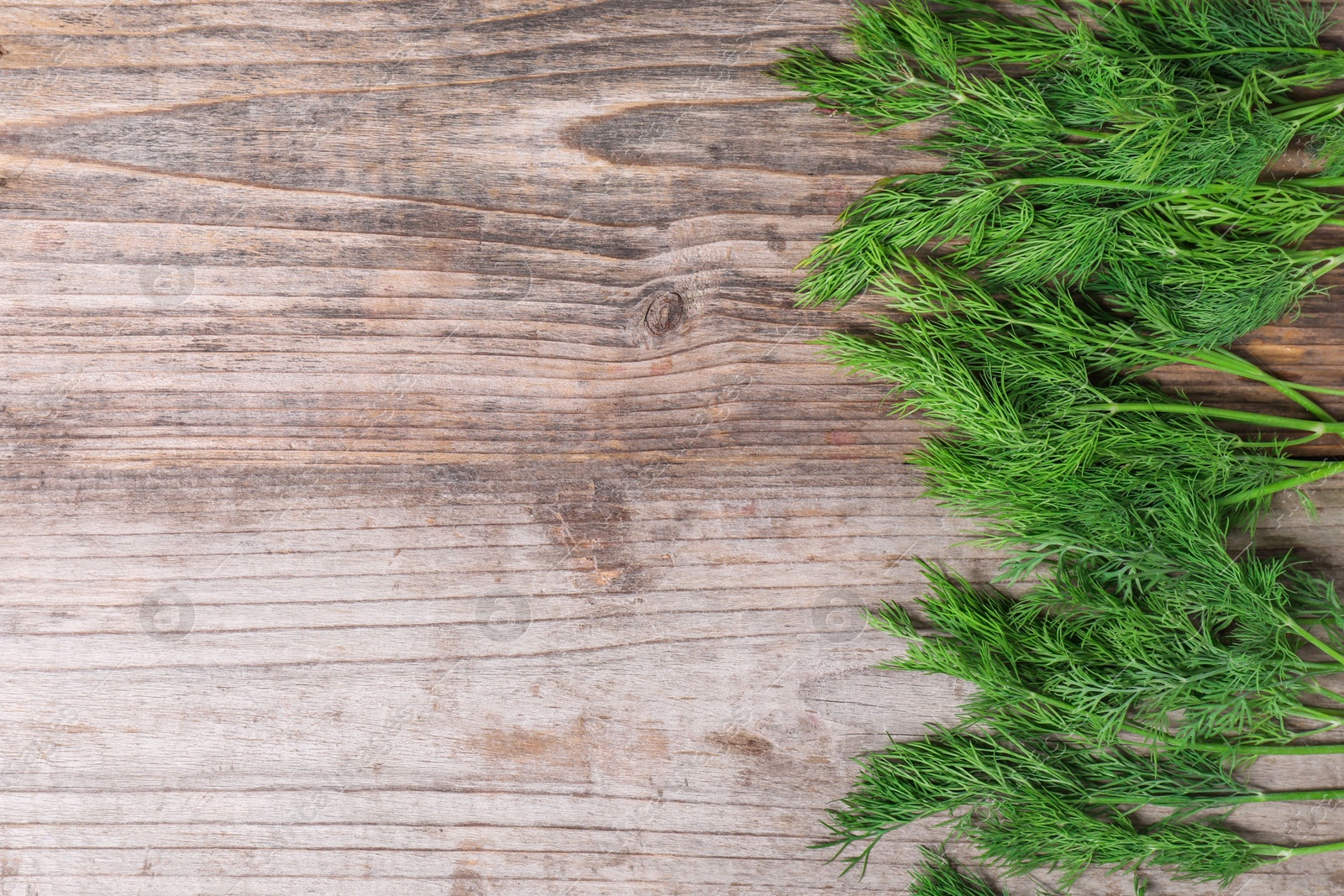 Photo of Sprigs of fresh green dill on wooden table, top view. Space for text