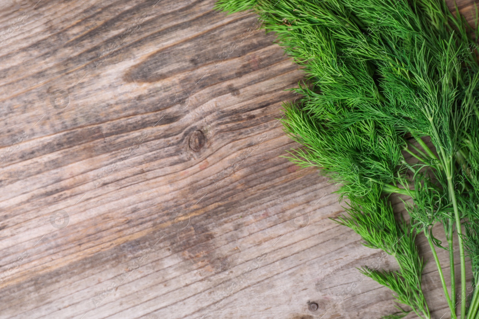 Photo of Sprigs of fresh green dill on wooden table, top view. Space for text