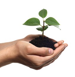 Environmental protection. Man holding seedling with pile of soil on white background, closeup