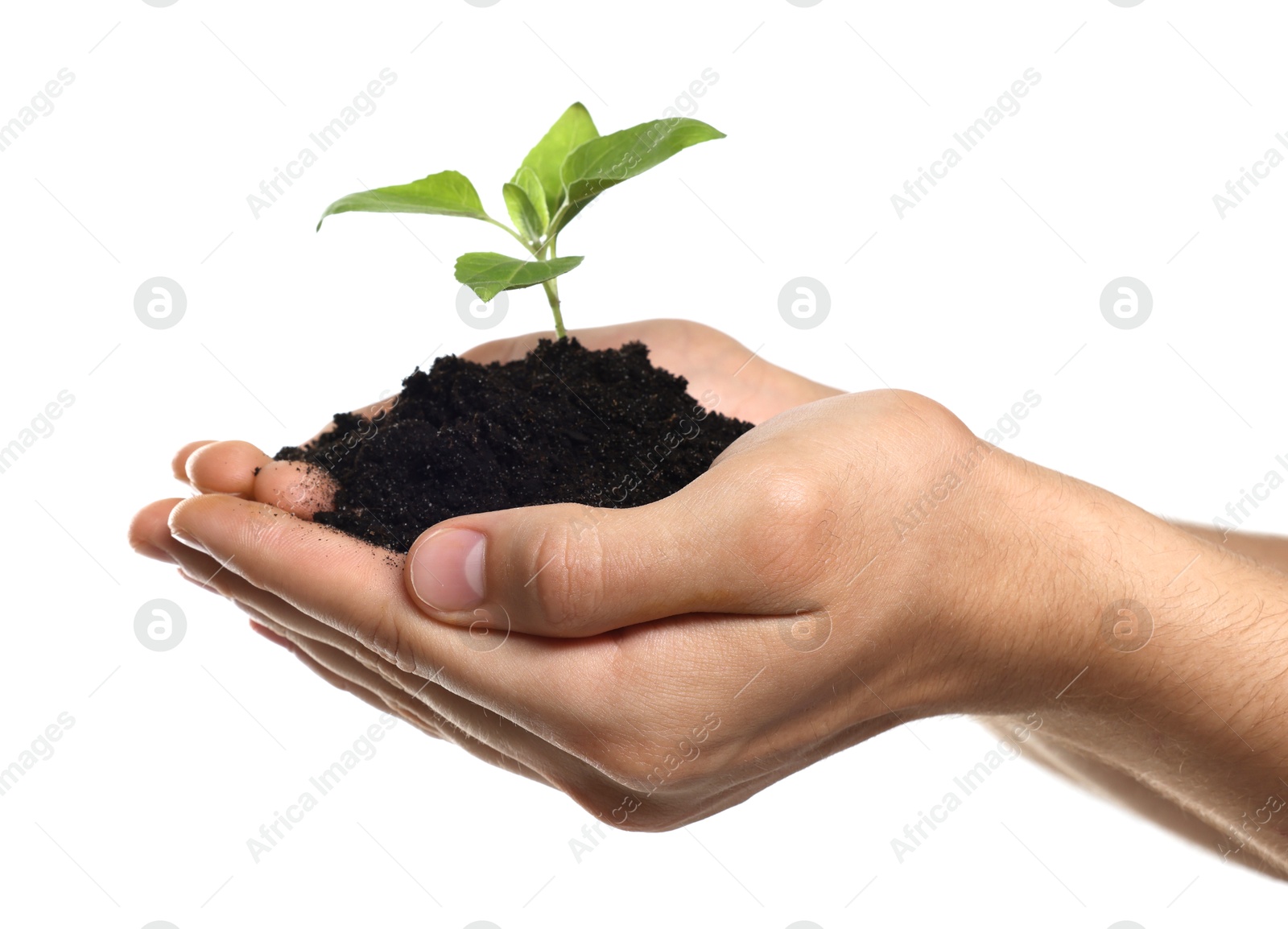 Photo of Environmental protection. Man holding seedling with pile of soil on white background, closeup