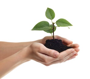 Photo of Environmental protection. Woman holding seedling with pile of soil on white background, closeup