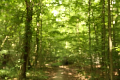 Photo of Blurred view of beautiful green trees in forest