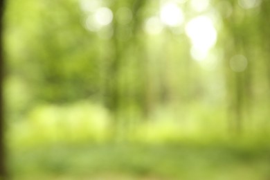 Photo of Blurred view of green trees in forest