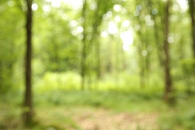 Photo of Blurred view of beautiful green trees in forest