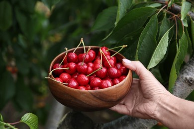 Photo of Woman holding wooden bowl with red cherries outdoors, closeup