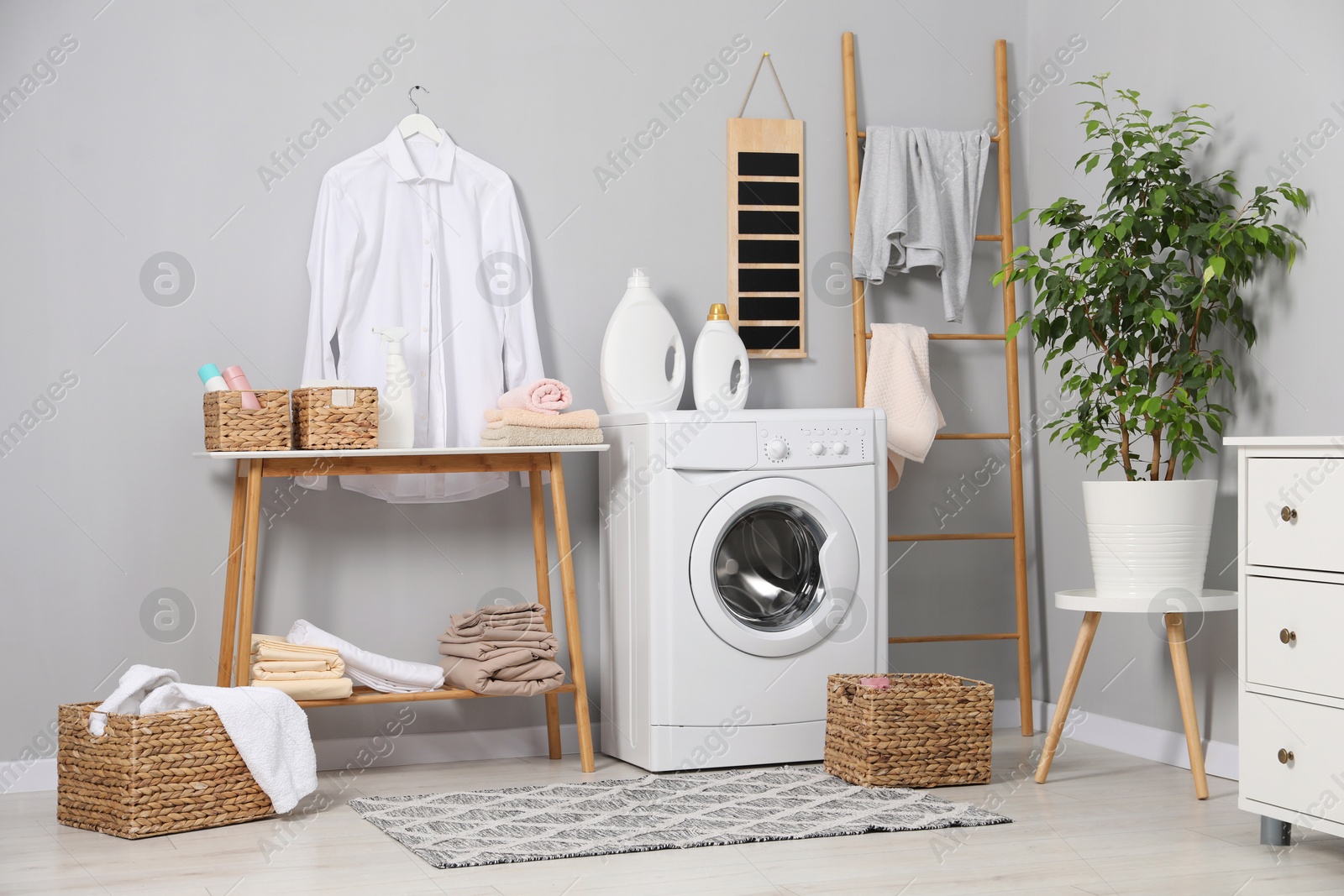 Photo of Washing machine, furniture, detergents and houseplant indoors