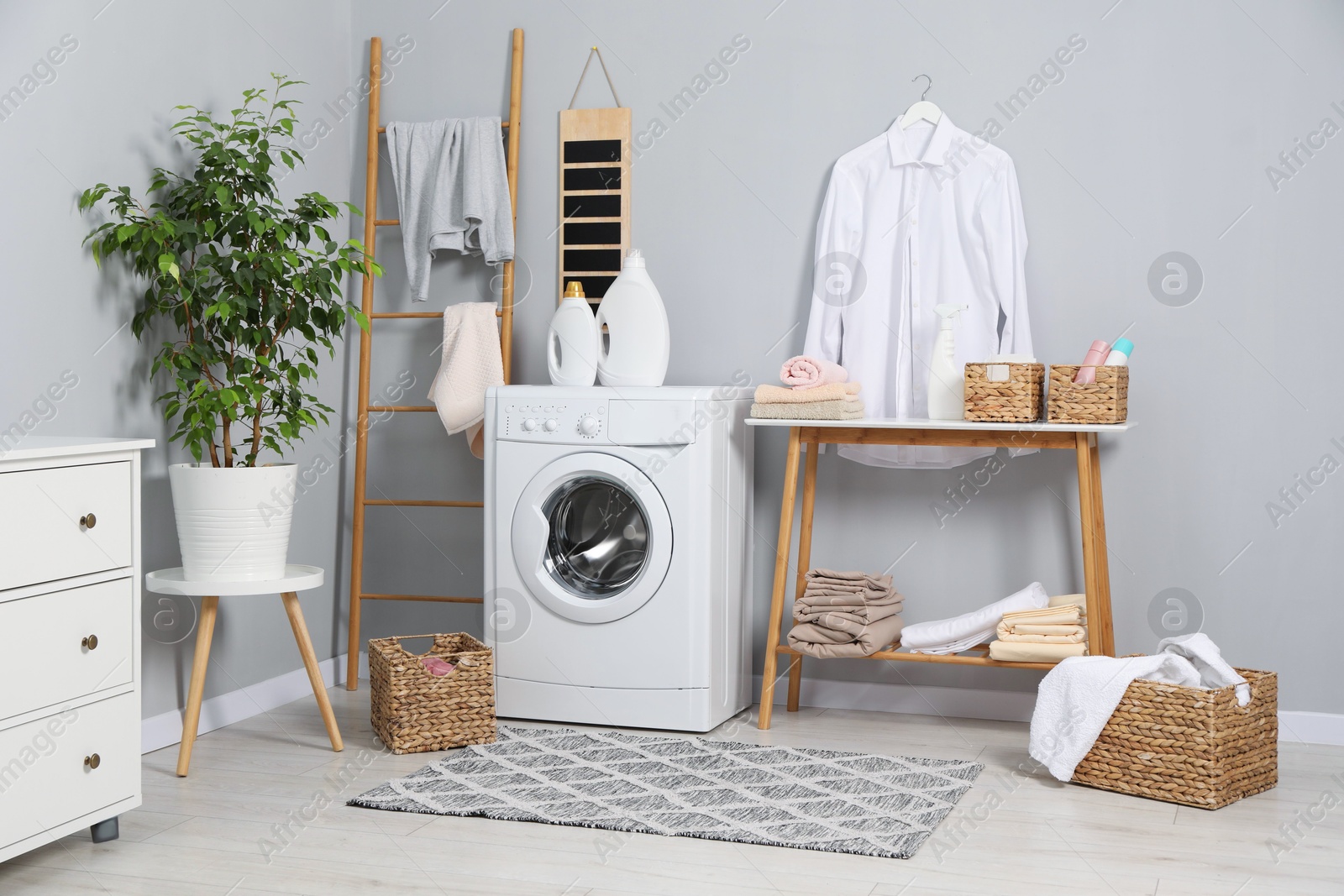 Photo of Washing machine, furniture, detergents and houseplant indoors