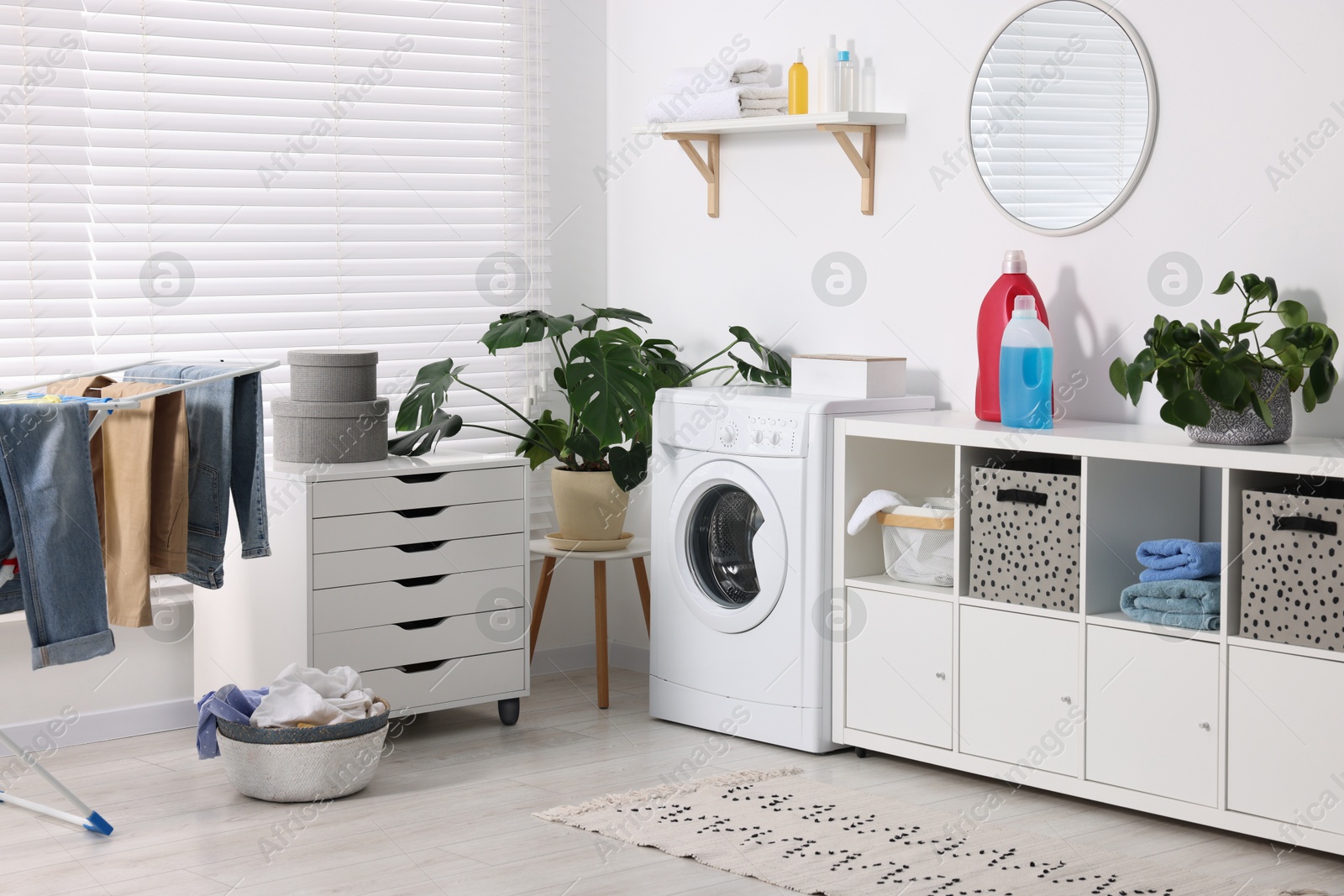 Photo of Washing machine, furniture, detergents, laundry, houseplants and drying rack indoors