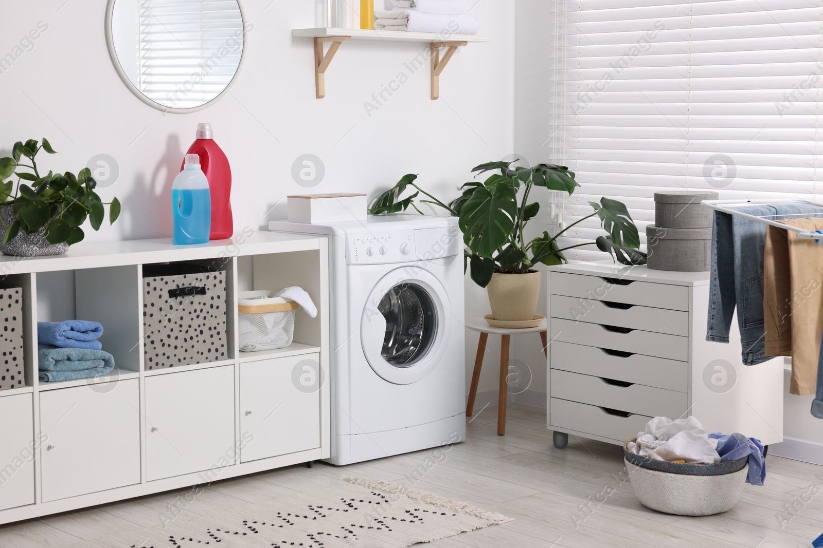 Photo of Washing machine, furniture, detergents, laundry, houseplants and drying rack indoors