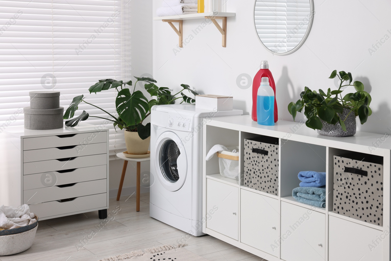 Photo of Washing machine, furniture, detergents, laundry and houseplants indoors