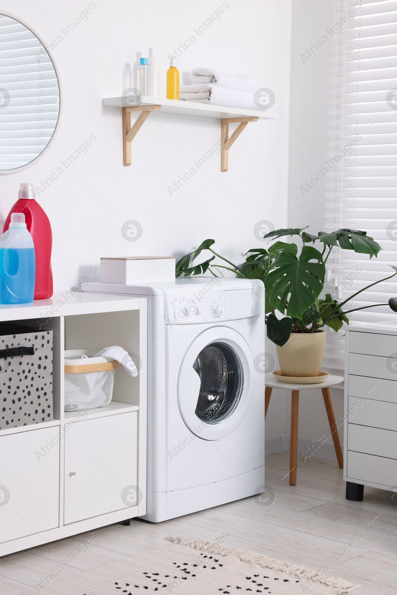 Photo of Washing machine, furniture, detergents, laundry and houseplant indoors