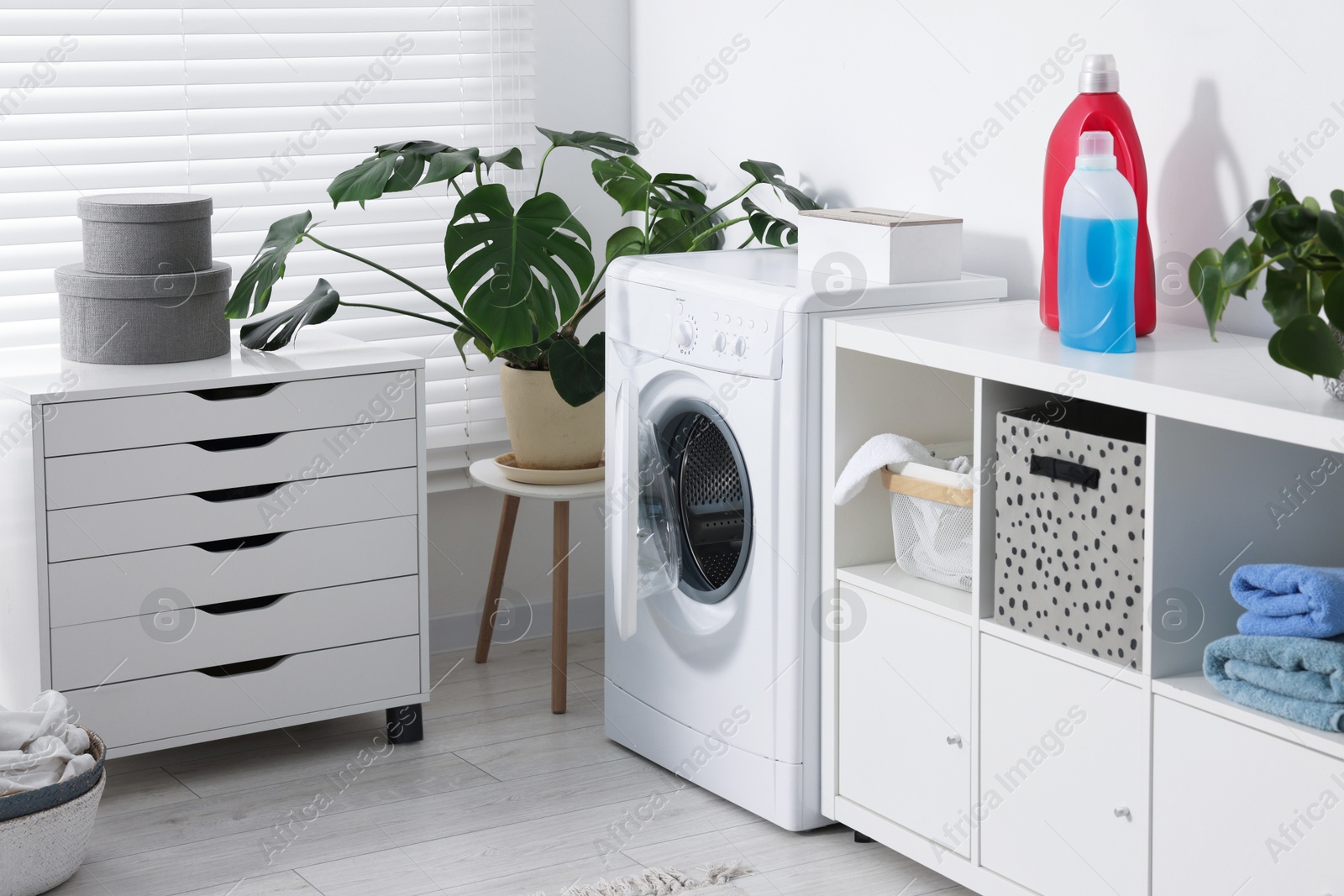 Photo of Washing machine, furniture, detergents, laundry and houseplants indoors