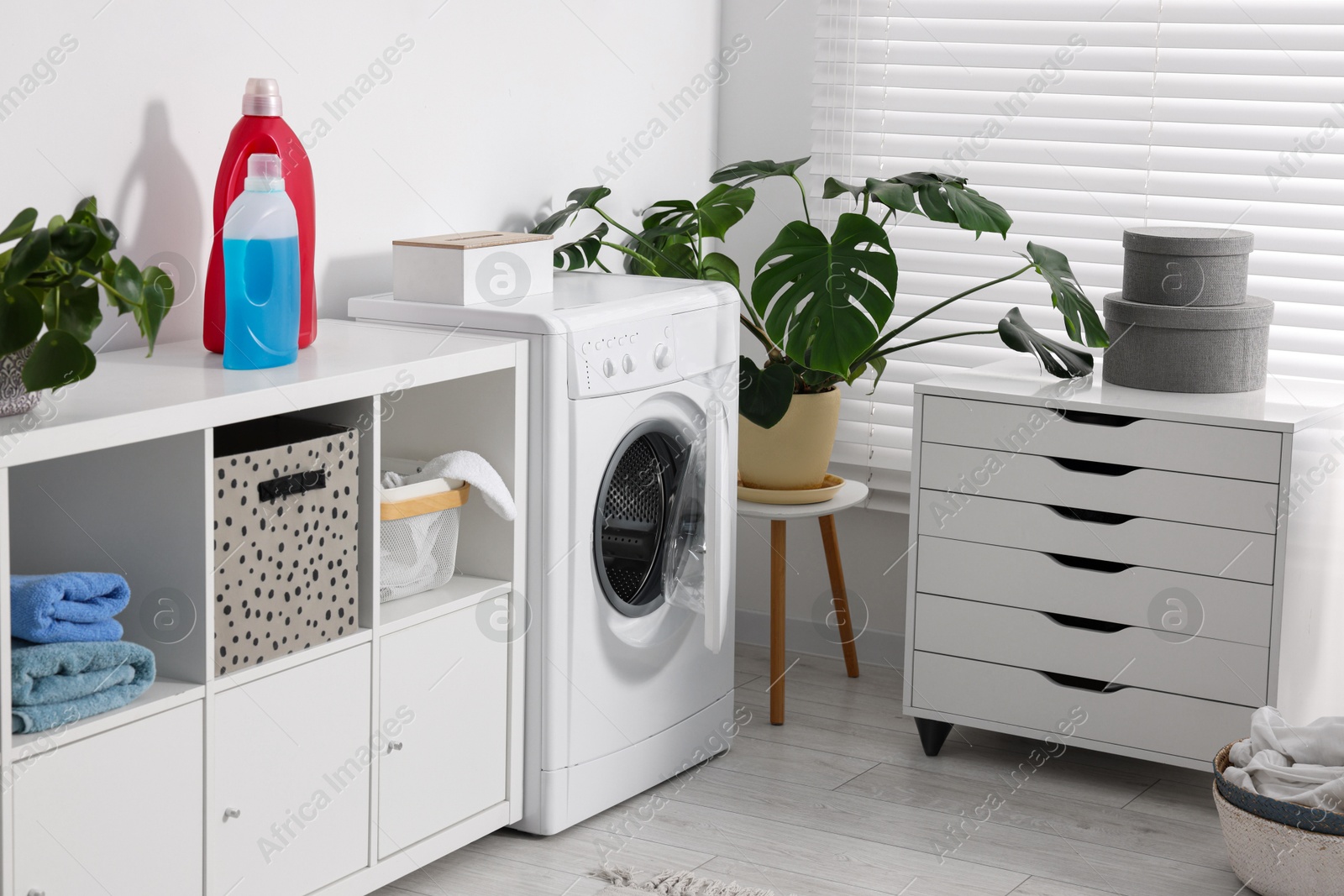 Photo of Washing machine, furniture, detergents, laundry and houseplants indoors